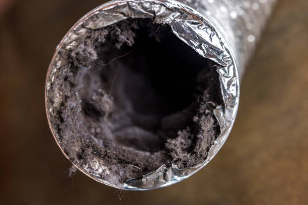 Best Affordable HVAC Duct Cleaning  in Charlotte Hall, MD